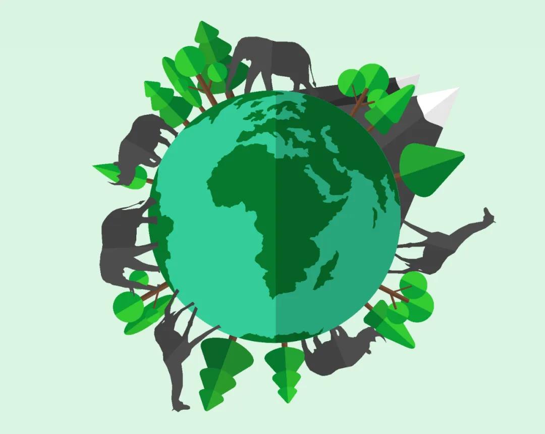 动物多样性的实质是